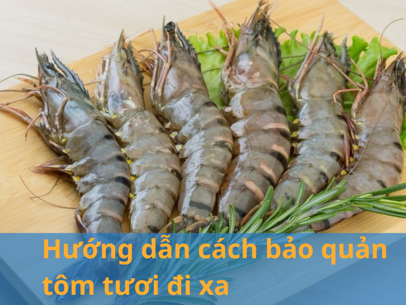 Hướng dẫn cách bảo quản tôm tươi đi xa